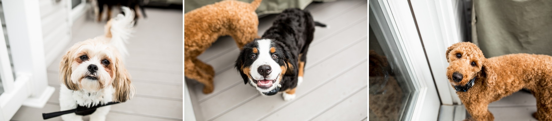 wedding at historic acres of hershey elizabethtown